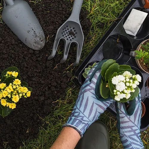 Indoor Outdoor Plant Supply Pune